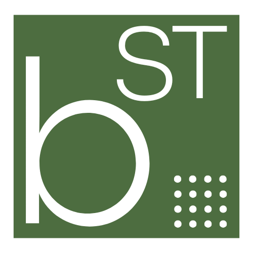 Breno S Tiburcio logo